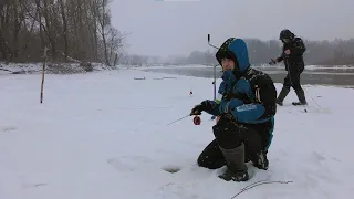 Зимова Риболовля на Десні. Шукаємо Хижака
