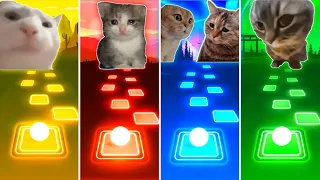 Vibing Cat vs Sad Cat vs Talking Cats vs Chipi Chipi Chapa Chapa Cat - Tiles Hop EDM Rush