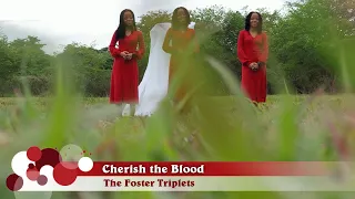 Cherish the Blood || The Foster Triplets