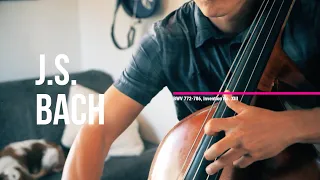 J.S. Bach, BWV 784, Invention No. XIII in A minor // Mandolin & Bass