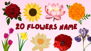 Flowers Name in English & Urdu || Flowers vocabulary || Learn Flowers Name With Spellings