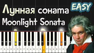 Бетховен Лунная соната | Beethoven - Moonlight Sonata | Piano Cover. EASY Tutorial (Synthesia)