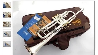 Обзор китайской трубы  Bach Stradivarius LT180S-43. Cinese fake trumpet Bach Stradivarius LT180S-43
