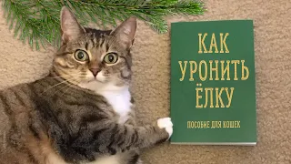 TOP-14 ways to DROP A CHRISTMAS TREE (Tutorial for cats)