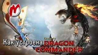 ✈ Как устроена Divinity: Dragon Commander (интервью со Свеном Винке)