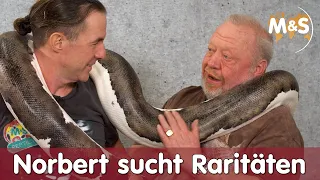 Zoo Zajac sucht die teuersten & seltensten Reptilien und wird GEBISSEN! | Reptil TV