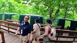 THE BEST RIDE ON NEW YORK BRONX ZOO