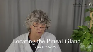 Locating the Pineal Gland: Learn Integral Anatomy with Gil Hedley