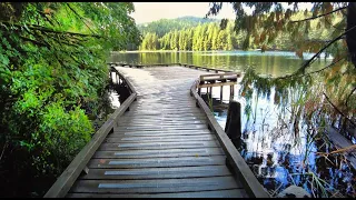 Beautiful Sasamat Lake