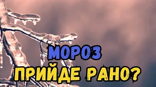 Пекельна спека в Україні: синоптик розповів, коли чекати зниження температури