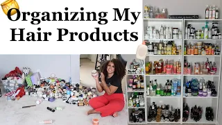 Hair Products Stash & Organization | All My Hair Products