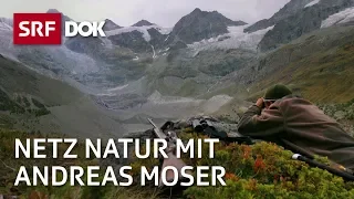 Die Schweiz und die Jagd | NETZ NATUR mit Andreas Moser | DOK | SRF