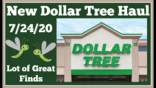 New Dollar Tree Haul 🤑 7/24/20 Lot of Great Finds