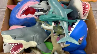 Box of Shark Toys - Sea Animals for Kids