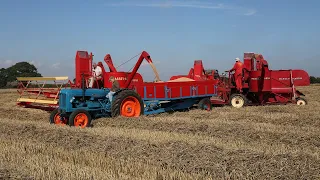 4x Massey Harris 21 | First self-propelled combine | Vintage Harvest | The British Harvest Brigade