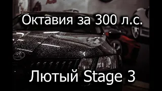 Skoda Octavia- быстрая гражданская пушка на чипе! Сколько стоит и как едет?