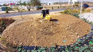 GREAT Team Work Land Fill up Full VIDEO Processing by Stronger Dozer KOMATSU DR51PX with Dump Truck