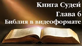 Видеобиблия. Книга Судей. Глава 6