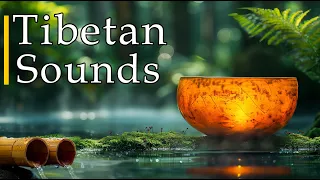 This Song Is For You If You Are Tired - Tibetan Sounds Healing, Eliminates Stress, Anxiety