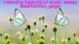 Красивая Музыка с Потрясающей Природой • RELAXING MUSIC • Расслабляйтесь, Спите, Медитируйте