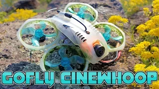 ✔ Мой Любимый - CineWhoop Gofly Scorpion 80HD с камерой Runcam Split 2!