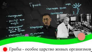 Грибы - особое царство живых организмов. 8 класс.