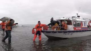 На Сахалине спасатели МЧС помогли волонтёрам в очистке мест обитания краснокнижных животных