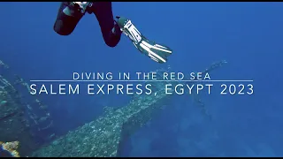 Bubbles and Beyond - 4K - Red Sea Egypt Salem Express - January 2023