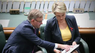 Tanya Plibersek vying for the top position with Labor seats in NSW on the line