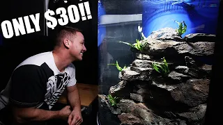 CHEAP AND EASY AQUARIUM SETUP! - the king of DIY