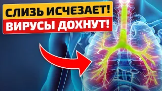 Эта сильная смесь от слизи и мокроты избавила, еще и зрение улучшилось!