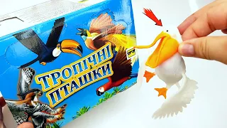 НОВЫЕ Стретч-игрушки Тропические птички #sbabam ОБЗОР ИГРУШЕК