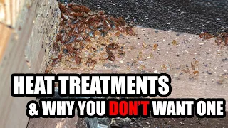 Heat Treatments for Bed Bugs & Why You Don't Want One! - The Simple Truth