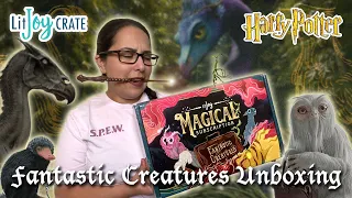 FANTASTIC CREATURES UNBOXING 💼  | LitJoy Crate | Brittany's Magic Trunk