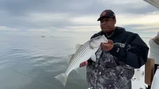 How to Fish for Striped Bass with Straight Tail vs  Paddletail Lures