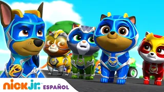 PAW Patrol, Patrulla de cachorros | Rescate de súperpatas de los Mighty Pups | Nick Jr. en Español