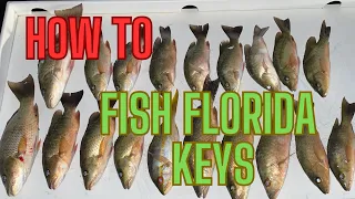 How to Fish Florida Keys #saltwaterfishing #fishinglife #fishingvideo