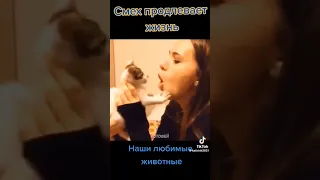 Позитивчик на ночь🤣смешное видео про котов🤣#котырулят#котыприколы#питомцы#смех#прикол#кот#shorts#