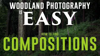 WOODLAND PHOTOGRAPHY IS EASY a simple guide to compositions