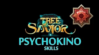 Tree of Savior - Psychokino Skills ( Adv. Wizard )