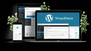 Автонаполняемый сайт WordPress