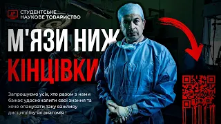 М'язи нижньої кінцівки. Фасції і топографія (стегновий трикутник, підколінна ямка) | Анатомія