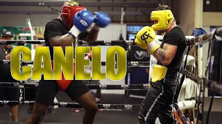 Canelo Incredible Defense Having Fun During Sparring Session