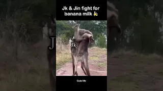 Jin & Jk fight for banana milk 🍌😈 #cutelife #shorts