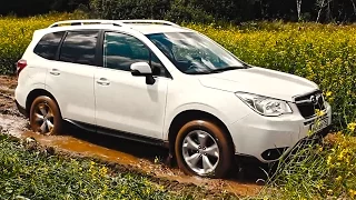 Субару Форестер: лучшая подвеска для наших дорог! Тест драйв Subaru Forester 2015 на ходу (ч.5)