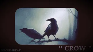 FREE " Crow " Old School Freestyle Boom Bap Type Beat / Dark / 88 bpm