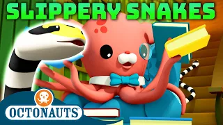 @Octonauts -  🌧️ Slippery Snakes 🐍 | National Serpent Day | 50 Mins+ Compilation