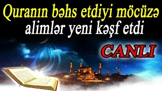 Quranın bəhs etdiyi möcüzə - alimlər yeni kəşf etdi