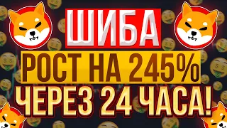 ШИБА ОГРОМНЫЙ РОСТ ПОСЛЕ КОРРЕКЦИИ 100%! И ВОТ ПОЧЕМУ-ЖЕ!