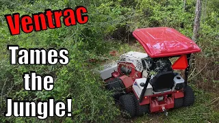 TORTURE TEST - Ventrac mows down trees!!  | Ventrac 4520 & Tough Cut Mower